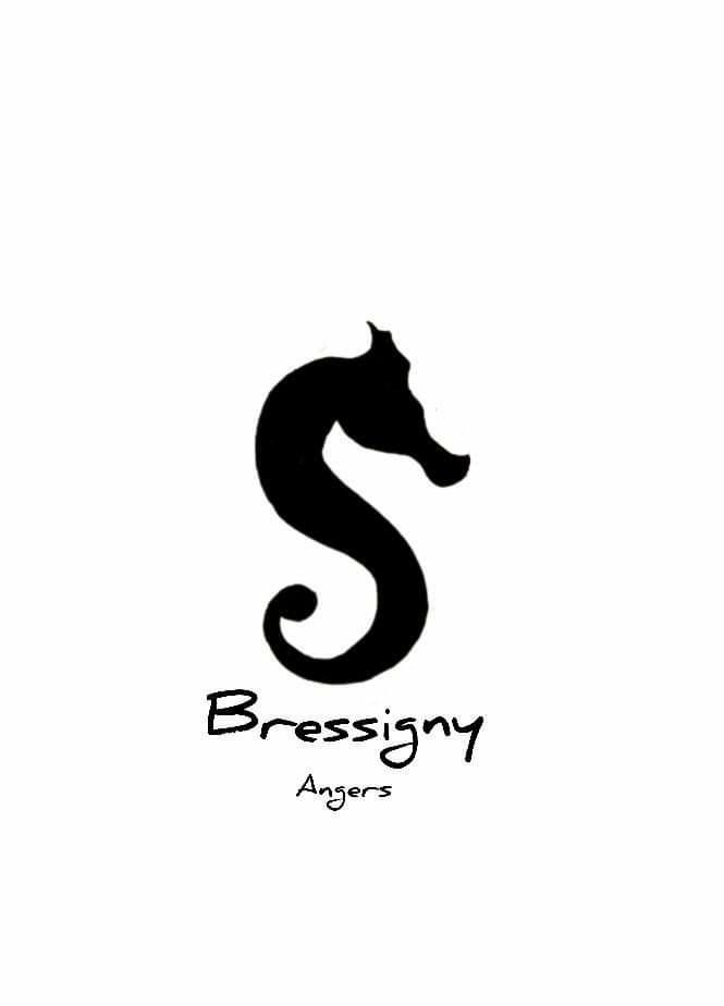 bressigny logo.jpg