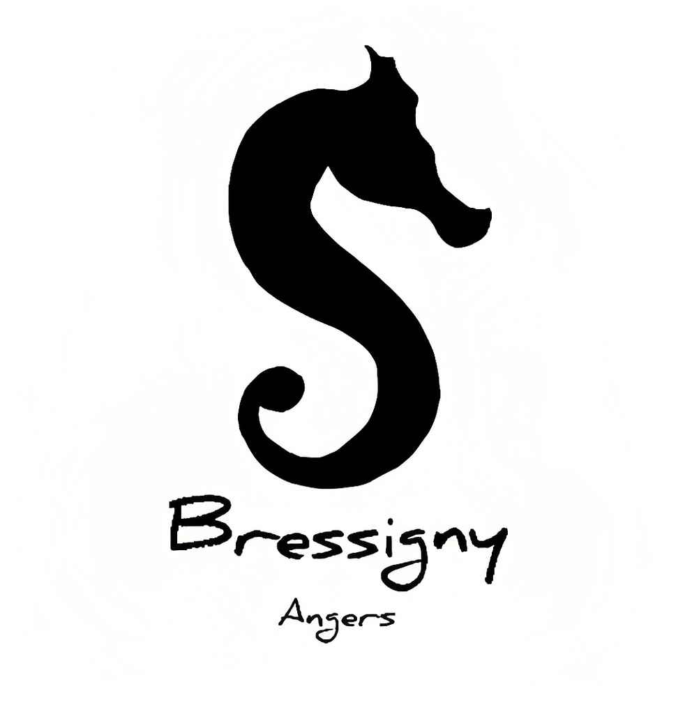 Bressigny logo.png