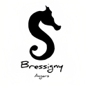 Bressigny logo.png